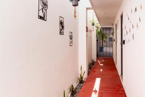 a corridor of a house with plants on the walls at X Mahaná Apartamentos Temáticos in Mérida