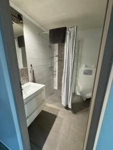 a bathroom with a sink and a toilet and a shower at Beregi Apartman in Tiszaújváros
