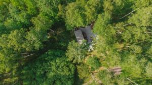 an overhead view of a house in a forest at Hidden Base - romantyczna leśna kryjówka in Smolarnia