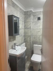 a bathroom with a sink and a toilet at Godwinning lodge in Thamesmead