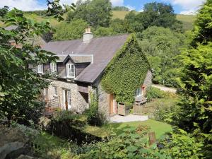 an old stone house with ivy growing on it at Tuckenhay, Waterwheel - Fct in Ashsprington