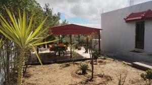 a garden with a red umbrella and a table at منزل ومزرعه للايجار الشوبكً Farm for rent , Shoubak , Petra in Nijil