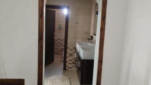 a bathroom with a sink and a mirror at منزل ومزرعه للايجار الشوبكً Farm for rent , Shoubak , Petra in Nijil +18 photos