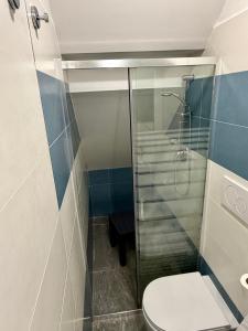 a bathroom with a toilet and a glass shower at Il Nido della Regina - 250m dal Lago di Bolsena in Marta +10 photos