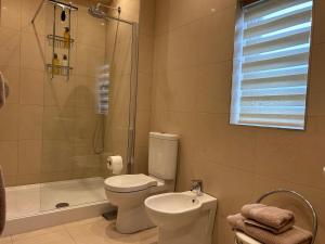 a bathroom with a toilet and a shower and a sink at The Stables Luxury B&B in Bury