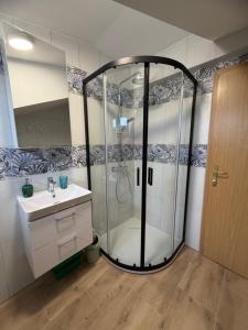 a bathroom with a shower and a sink at apartma Jelka in Novigrad Istria +54 photos