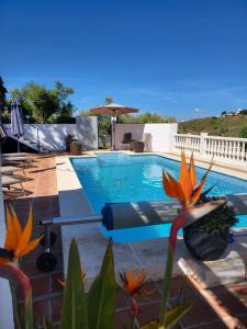 a swimming pool with an umbrella and some flowers at B&B la Madrugada in Cómpeta