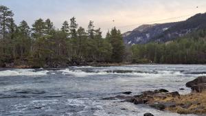 a river with rapids on the rocks and trees at The Sisters Landeskogen in Grendi