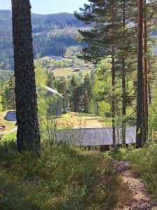 a view of a house in the woods with trees at The Sisters Landeskogen in Grendi +7 photos