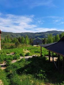 a view of a field with a barn in the background at The Sisters Landeskogen in Grendi
