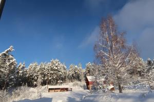 a snow covered forest with a barn and trees at The Sisters Landeskogen in Grendi