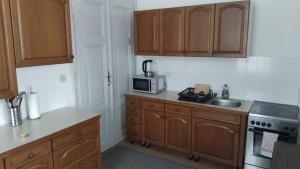 a kitchen with wooden cabinets and a sink and a microwave at Löwenzahn in Scheibbs