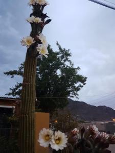 Phong cảnh thiên nhiên gần nhà nghỉ B&B +7 ảnh