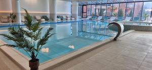 a pool with a palm tree in a hotel lobby at TOP VIEW APARTMENT in Sinaia