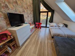 a small room with a tv and a bed and a couch at Villa OLIVIA Ferienwohnung Misdroy Insel Ostsee in Wicko