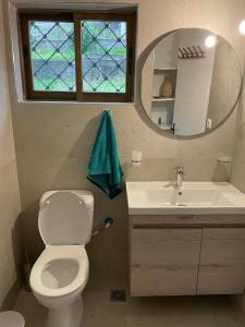 a bathroom with a toilet and a sink and a mirror at Panagopoulos House in Agios Ioannis Pelio +30 photos