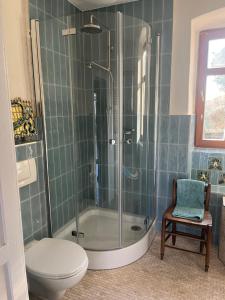 a bathroom with a shower and a toilet at Kirchhof in Dobis +25 photos