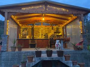 a pergola with a dog sitting in front of it at Guesthouse Hoxholli in Gramsh