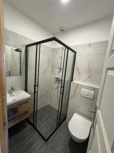 a bathroom with a shower and a toilet and a sink at Beregi Apartman II in Mezőcsát