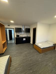 a large room with two beds and a kitchen at Beregi Apartman II in Mezőcsát