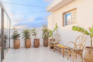 a patio with chairs and potted plants at Wow Hotel Dakhla Gym, Free Jacuzzi & Breakfast Included in Dakhla