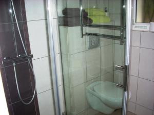 a bathroom with a shower and a toilet at La Renaissance Saint-Gervais-la-Forêt in Saint-Gervais-la-Forêt +16 photos