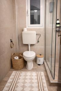 a bathroom with a toilet and a shower at Olive tree Apartment Kanoni in Kanoni