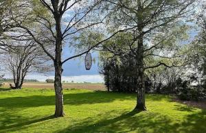 a bag hanging from two trees in a field at The Foxes Den in Assington