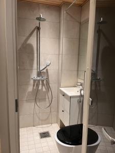 a bathroom with a shower and a toilet in it at Central Kamppi Micro Loft, Quiet Courtyard in Helsinki