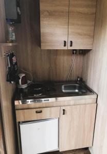 a small kitchen with a stove and a sink at Chalmová CHATA 27 in Bystričany