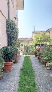 a garden with potted plants on the side of a building at Lido di Camaiore-Spacious & Bright 2Bedrooms House in Lido di Camaiore