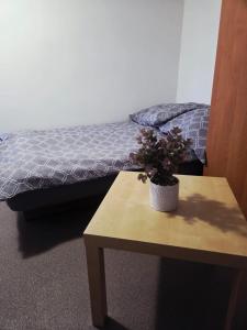 a bedroom with a bed and a table with a potted plant at Mierzyn Po Drodze in Mierzyn