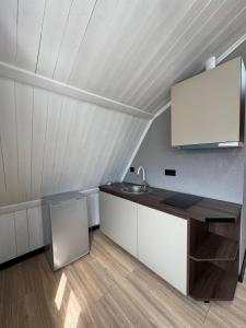 a kitchen with a sink in a attic at Odessky Dvorik in Chişinău
