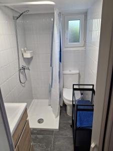 a bathroom with a shower and a toilet and a sink at Mar de Pantin in Valdoviño +32 photos