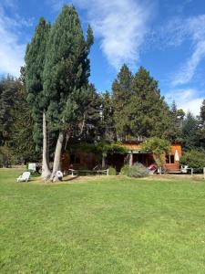 a house with a large tree in a field at Cabañas Walnor in Villa Traful
