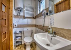a small bathroom with a toilet and a sink at Domki u Henia i Anety in Werlas +10 photos