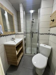 a bathroom with a shower and a toilet and a sink at NOROTEL Eco in Brumath +10 photos