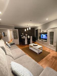 a living room with a couch and a tv at Curros in Ponte Do Porto