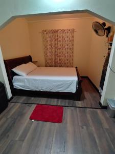 a bedroom with a bed and a red rug on the floor at Vincy vybz in Kingstown