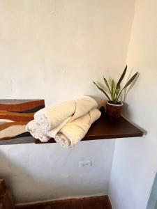 a shelf with towels and a potted plant on it at Casa Quintanilla Barichara in Barichara +93 photos
