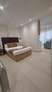 a bedroom with a large bed in a room at Apartamentos Sudestada in Logroño