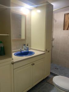 a bathroom with a blue sink and a toilet at Kelly's Vacation Nest to Relax and Reactivate in Willemstad +9 photos