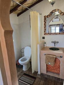 a bathroom with a toilet and a sink and a mirror at Riad Berber in Merzouga