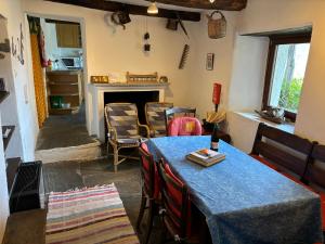 a room with a table and chairs and a fireplace at Rustico Bellavista in Mergoscia