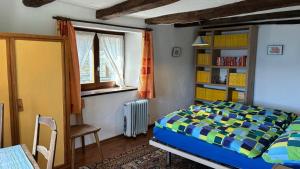 a bedroom with a bed and a book shelf at Rustico Bellavista in Mergoscia