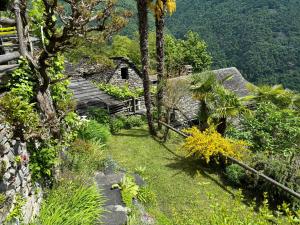 a garden with palm trees and a house at Rustico Bellavista in Mergoscia