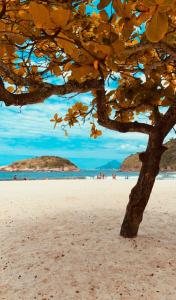 a tree on a beach with people in the background at Piratininga a Beira Mar - Niterói in Niterói