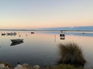 a lake with boats and birds in the water at Waters Edge Retreat in Dawesville +13 photos