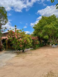 a group of flowers and trees in a yard at Chácara Jacinto Alves in Paulo Afonso