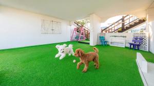 two dogs playing on a green floor in a house at Taean anmyeondo hwangdo ilmare Pension in Taean